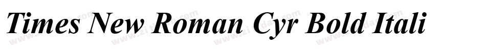 Times New Roman Cyr Bold Italic字体转换